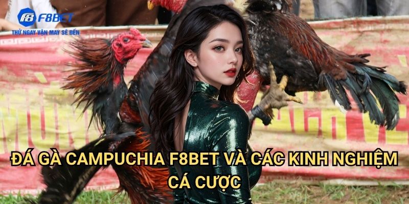 Đá Gà Campuchia F8bet: Trải Nghiệm Đấu Trường Gà Chọi Đẳng Cấp 3 Đá Gà Campuchia F8bet Và Các Kinh Nghiệm Cá Cược