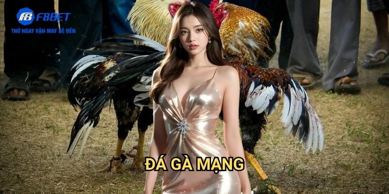Đá Gà Mạng F8bet: Trải Nghiệm Cá Cược Gà Chọi Trực Tuyến Hấp Dẫn