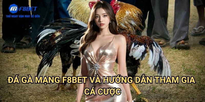 Đá Gà Mạng F8bet: Trải Nghiệm Cá Cược Gà Chọi Trực Tuyến Hấp Dẫn 3 Đá Gà Mạng F8bet Và Hướng Dẫn Tham Gia Cá Cược