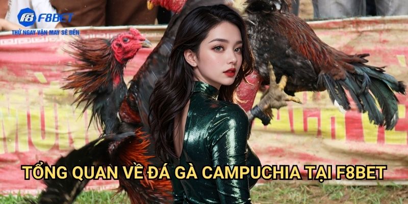 Đá Gà Campuchia F8bet: Trải Nghiệm Đấu Trường Gà Chọi Đẳng Cấp 2 Tổng Quan Về Đá Gà Campuchia Tại F8bet