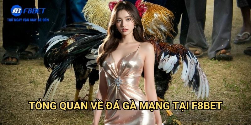 Đá Gà Mạng F8bet: Trải Nghiệm Cá Cược Gà Chọi Trực Tuyến Hấp Dẫn 2 Tổng Quan Về Đá Gà Mạng Tại F8bet